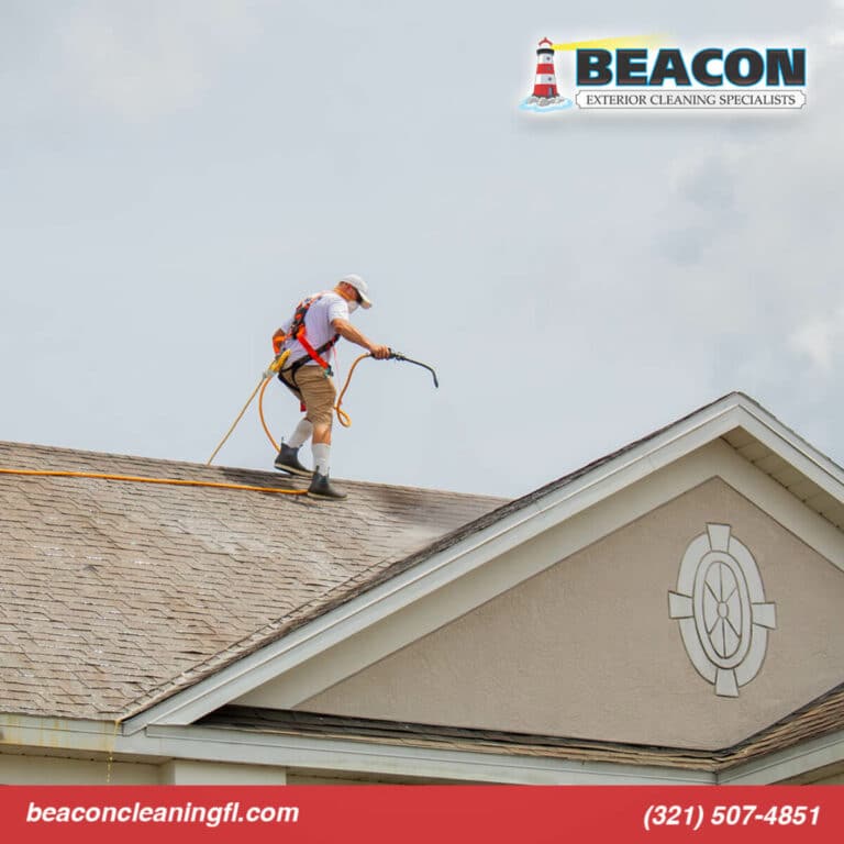 professional roof cleaner in palm bay fl