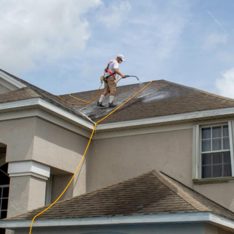 professional roof cleaning service for houses in palm bay fl