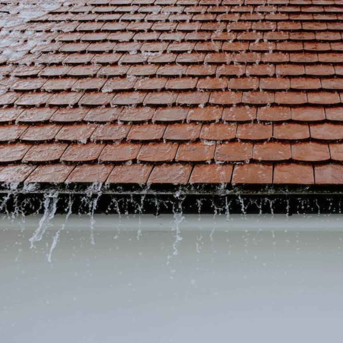 roof washing service in palm bay fl